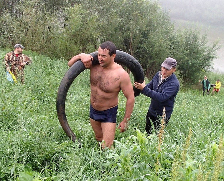 Со дна Ишима подняли гигантский бивень мамонта