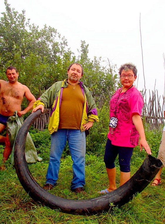 Со дна Ишима подняли гигантский бивень мамонта