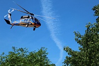 В Тюменской области для борьбы с лесными пожарами арендуют вертолеты: объявлен тендер