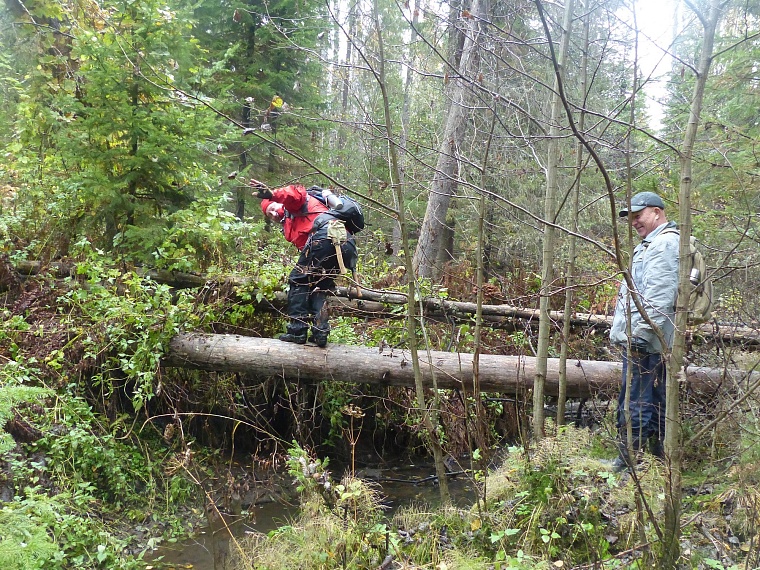 В Тюменском районе обнаружили медную гору?