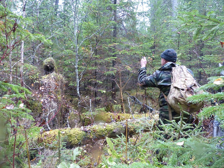 В Тюменском районе обнаружили медную гору?