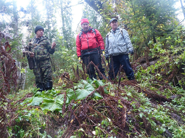 В Тюменском районе обнаружили медную гору?