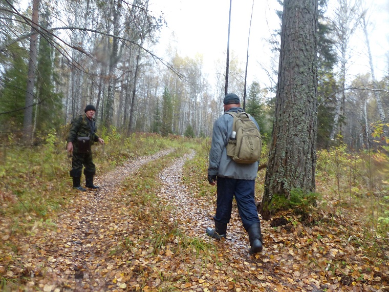В Тюменском районе обнаружили медную гору?
