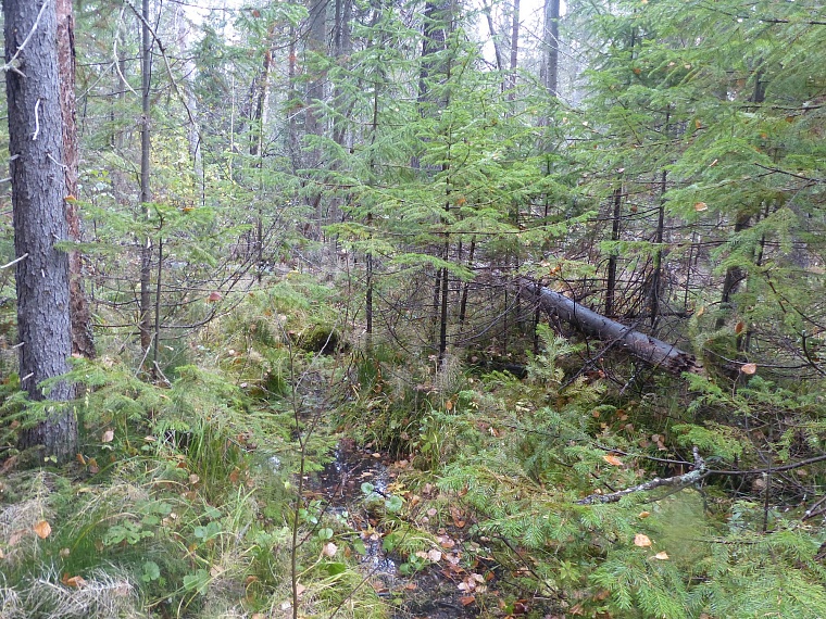 В Тюменском районе обнаружили медную гору?