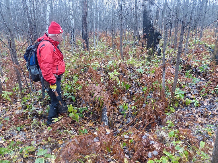 В Тюменском районе обнаружили медную гору?
