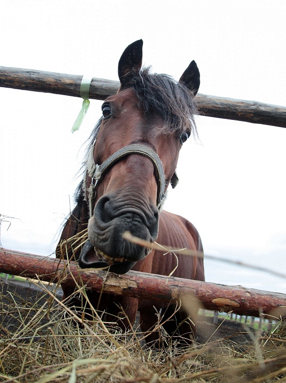 «Тюменский Стоунхендж» привлекает в туристов в Нижнюю Тавду