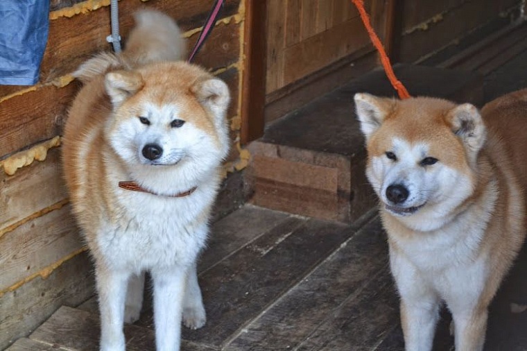Вырваться на выходные. Обзор баз отдыха Тюмени и окрестностей