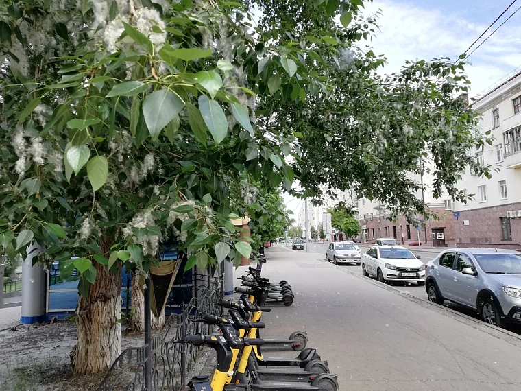 В программу "Безопасного колеса" в Тюмени включили фигурное вождение электросамокатов