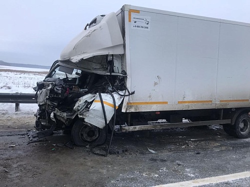 Два грузовика столкнулись на трассе Тюмень - Омск