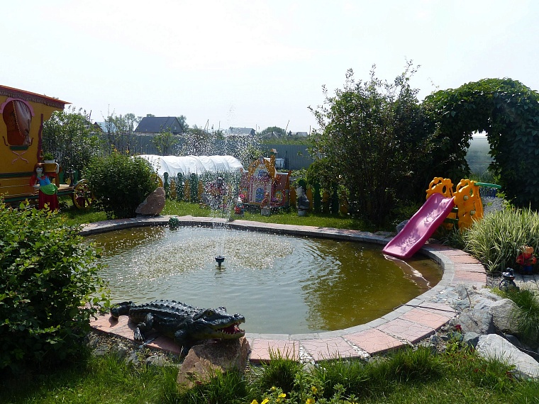 Где погладить ручную нутрию