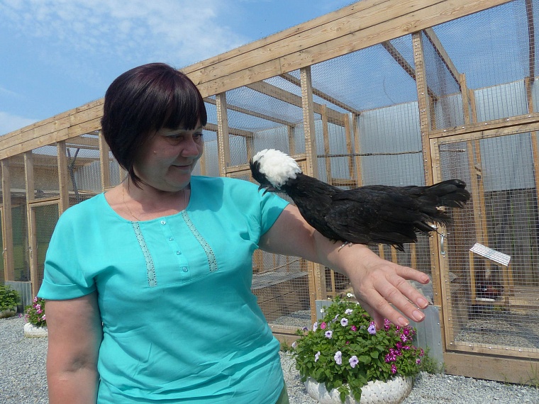 Где погладить ручную нутрию