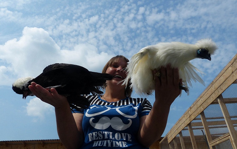 Где погладить ручную нутрию