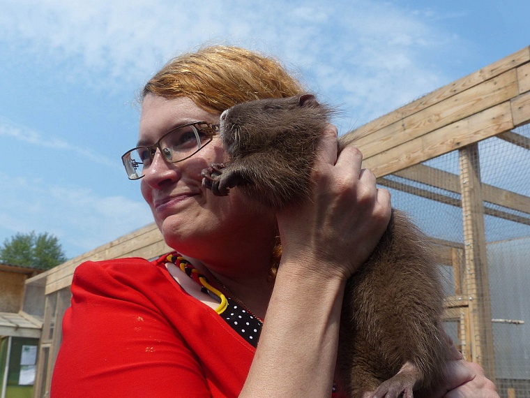 Где погладить ручную нутрию