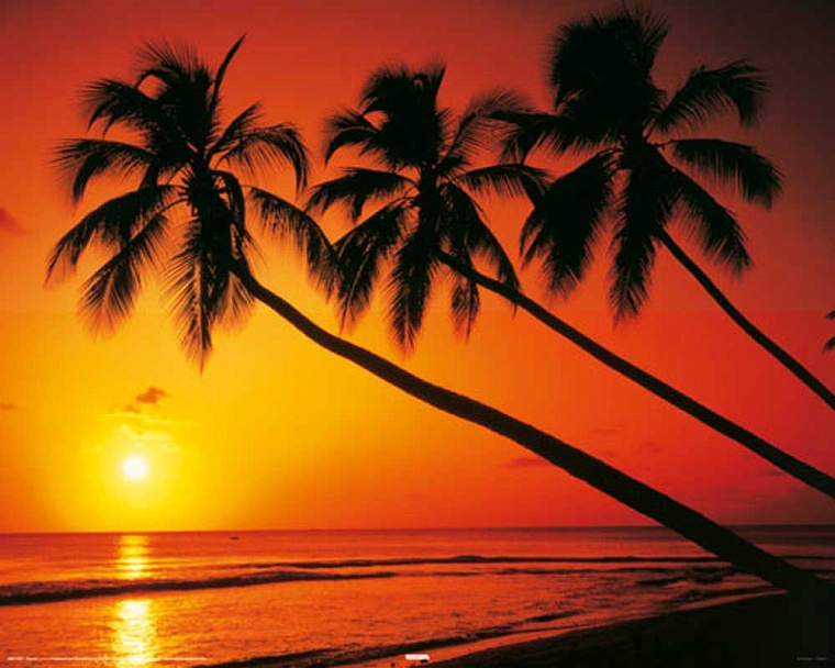 Навстречу зимнему солнцу: обзор туристических направлений