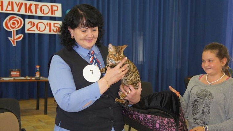 Лучший кондуктор ПАТП №1 Елена Карданова работает на автобусе маршрута №85