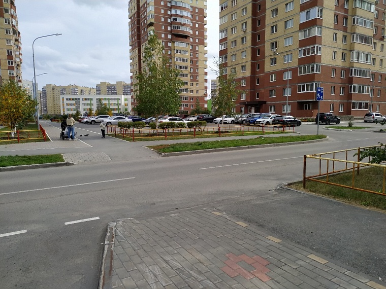 Школьный маршрут: почему дети из школы №65, корп. 2 массово идут мимо "зебры"