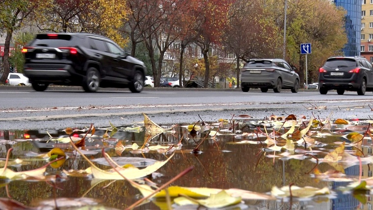 Опавшие листья, дети, животные: чем опасно вождение осенью