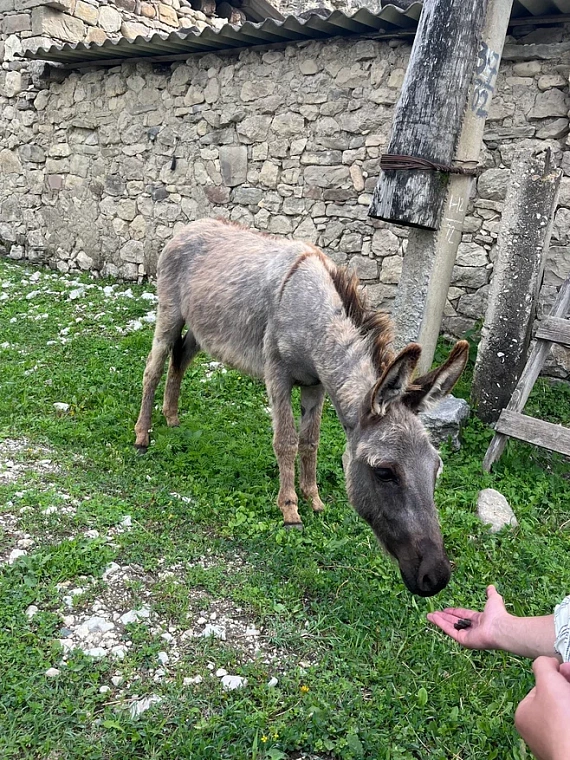 «С ума сошла?» Как тюменка влюбилась в Дагестан с первого взгляда