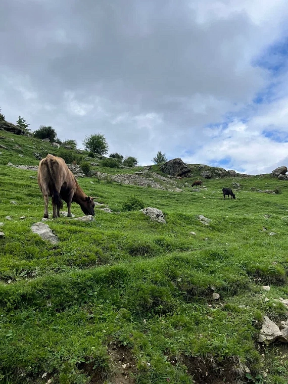 «С ума сошла?» Как тюменка влюбилась в Дагестан с первого взгляда