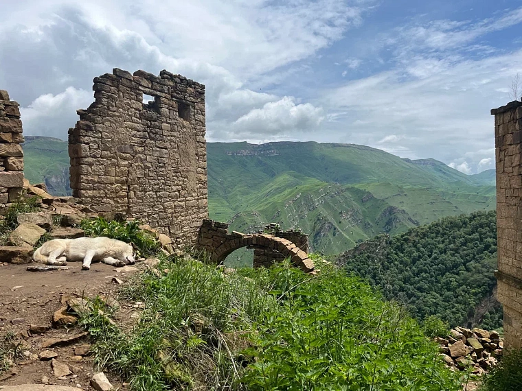 «С ума сошла?» Как тюменка влюбилась в Дагестан с первого взгляда