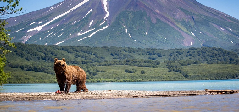 Жители Тюмени вновь смогут получить кешбэк за путешествие