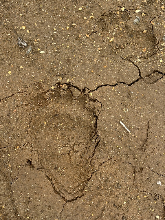 Из Тюмени на Камчатку: у вас нет шансов вернуться прежним