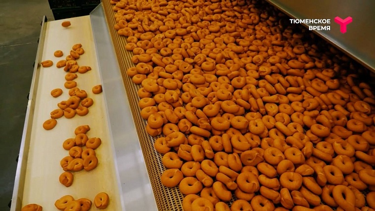 Что посмотреть в Ялуторовском районе: дикие лошади, поселение 17 века, рыбацкая деревня