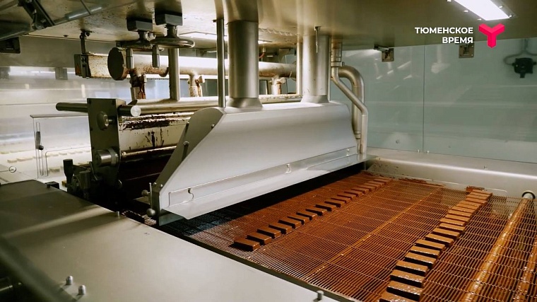 Что посмотреть в Ялуторовском районе: дикие лошади, поселение 17 века, рыбацкая деревня