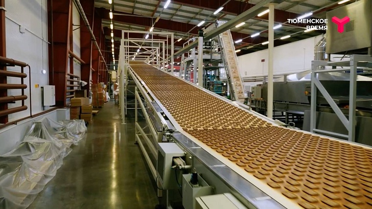 Что посмотреть в Ялуторовском районе: дикие лошади, поселение 17 века, рыбацкая деревня