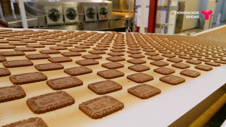 Что посмотреть в Ялуторовском районе: дикие лошади, поселение 17 века, рыбацкая деревня