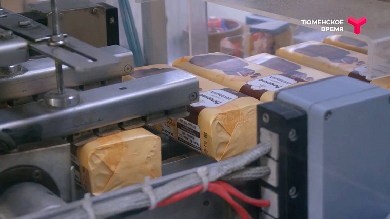 Что посмотреть в Ялуторовском районе: дикие лошади, поселение 17 века, рыбацкая деревня