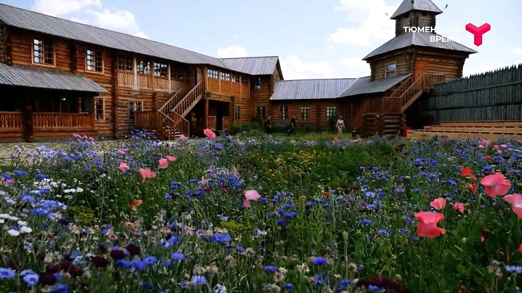 Что посмотреть в Ялуторовском районе: дикие лошади, поселение 17 века, рыбацкая деревня