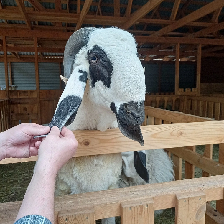 Выходные в Каменске-Уральском: водные экскурсии, единственный в мире мост и порог Ревун