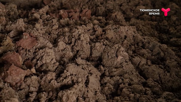 Хочу в Нижнетавдинский район: съедобная грязь, пельмени ручной лепки, глэмпинг