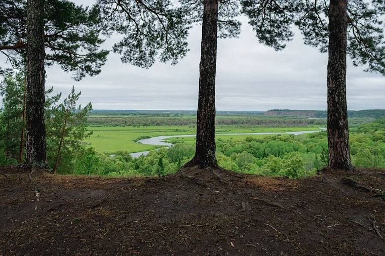 Потайной Тобольск: тревел-гид от Tele2 для тех, кто все уже видел