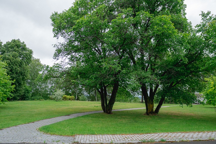 Потайной Тобольск: тревел-гид от Tele2 для тех, кто все уже видел