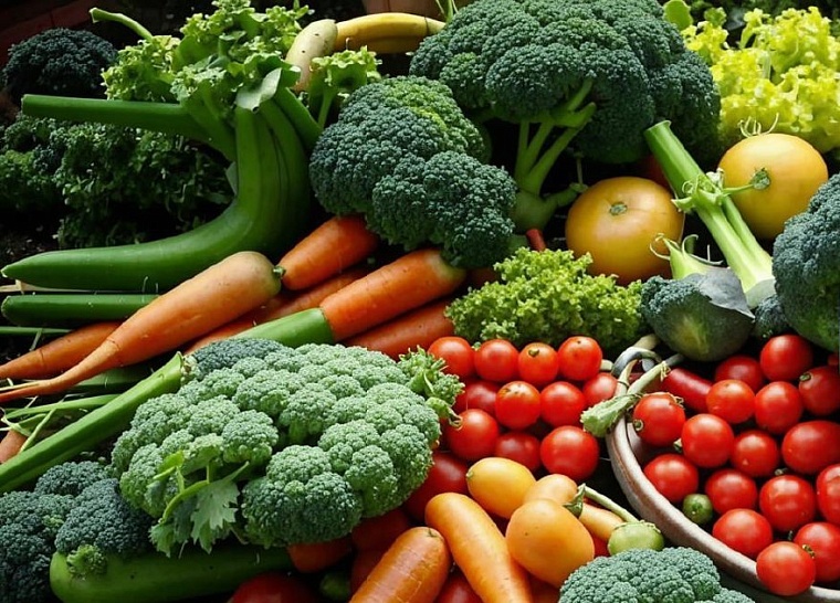 Тюменский диетолог поделилась секретами восстановления после отпуска