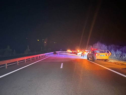 На трассе Тюмень — Ханты-Мансийск «Лада Веста» насмерть сбила женщину