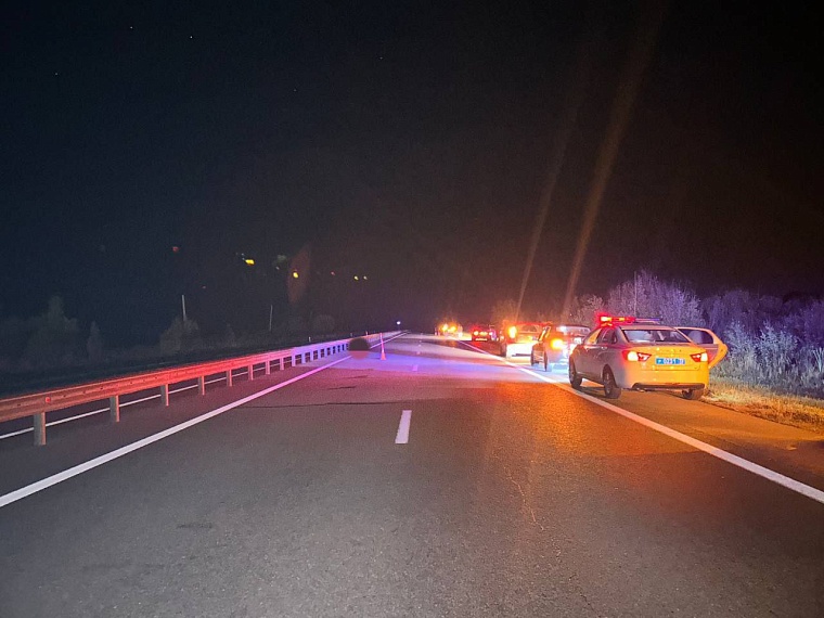 На трассе Тюмень — Ханты-Мансийск «Лада Веста» насмерть сбила женщину