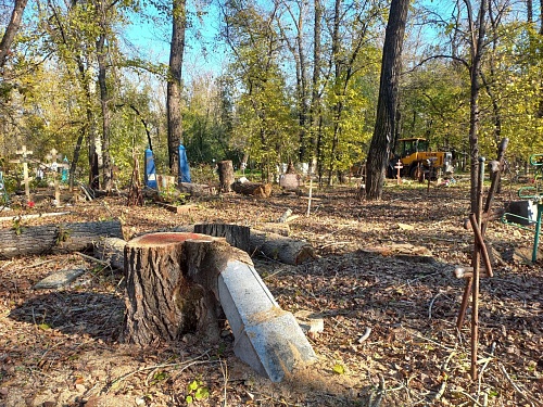 На Текутьевском кладбище Тюмени сносят аварийные деревья