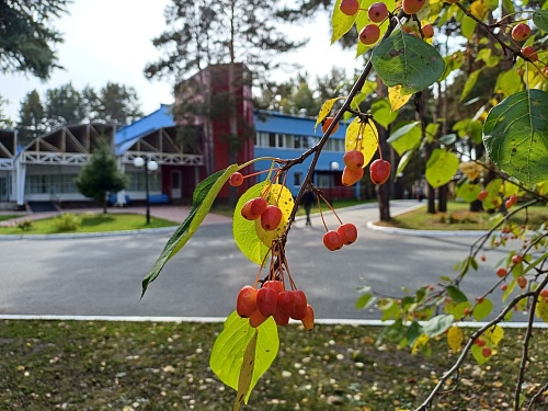 Тюменский «Родник» помогает детям с особенностями здоровья