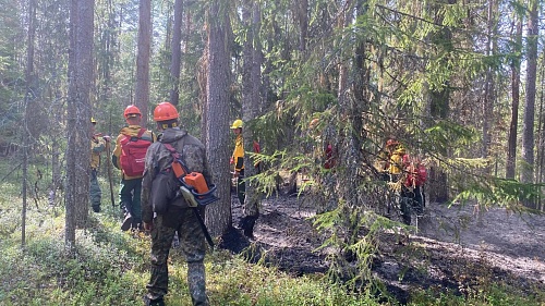 Где техника бессильна, в бой с огнем вступает пожарный десант