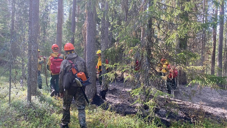 Где техника бессильна, в бой с огнем вступает пожарный десант
