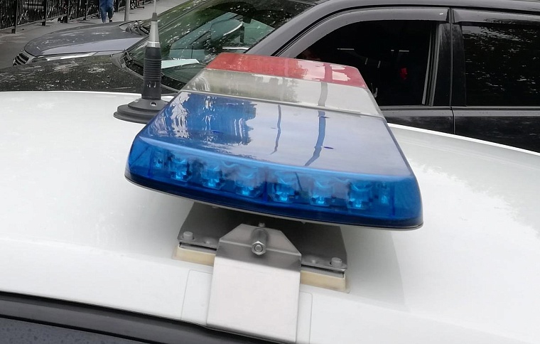 Тюменская пенсионерка из-за 33 неоплаченных штрафов осталась без машины