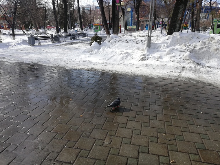 Тюменский водоканал призывает не открывать колодцы для отвода талых вод