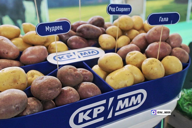 Александр Моор: Этот год стал рекордным для всей области