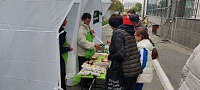 Тюменцы активно покупают продукты на ярмарках фестиваля «Тюменская осень»
