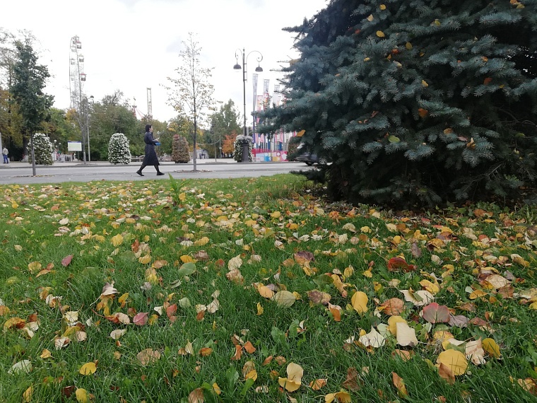 Тюменский воздух проверили в лабораториях: итоги сообщил Роспотребнадзор