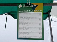 Тюменцы охотно покупают дешевые и качественные продукты на ярмарке фестиваля "Тюменская весна. Всей семьей"