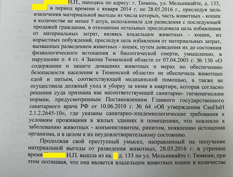 Задыхаются от запаха мочи: в Тюмени скандально известную заводчицу вновь обвиняют в устройстве «концлагеря» для кошек